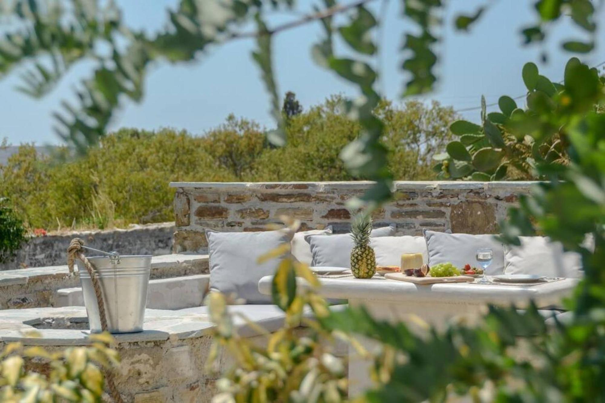 Villa Anthemion Naxos With Outdoor Jacuzzi Ano Sangrion المظهر الخارجي الصورة