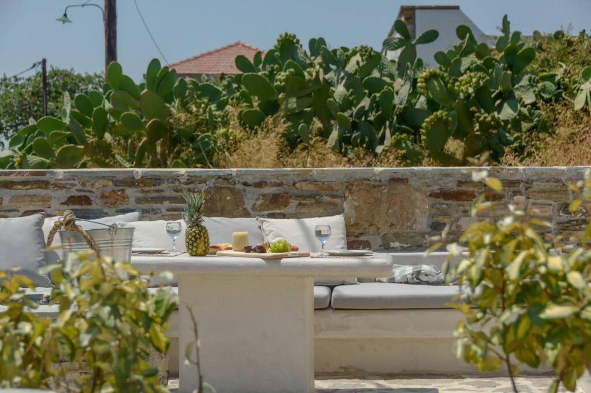 Villa Anthemion Naxos With Outdoor Jacuzzi Ano Sangrion المظهر الخارجي الصورة